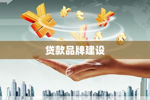 布拖贷款品牌建设