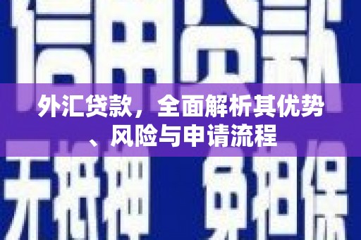 布拖外汇贷款，全面解析其优势、风险与申请流程
