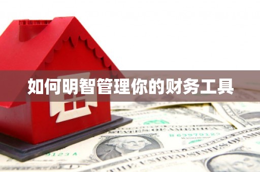 布拖如何明智管理你的财务工具