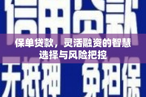 布拖保单贷款，灵活融资的智慧选择与风险把控