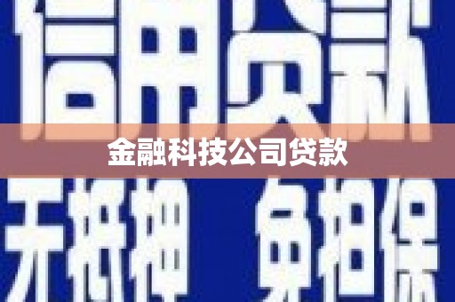 布拖金融科技公司贷款