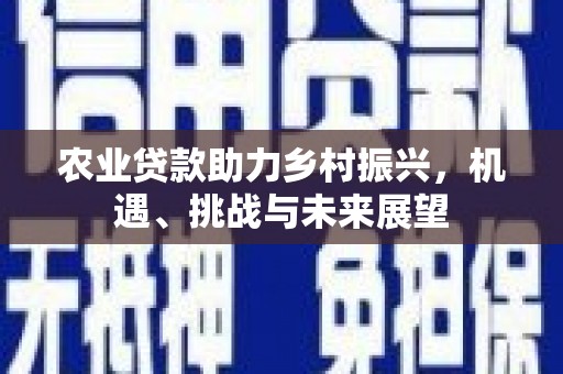 布拖农业贷款助力乡村振兴，机遇、挑战与未来展望