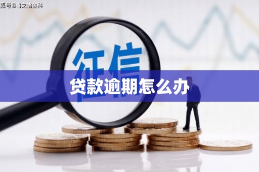 布拖贷款逾期怎么办