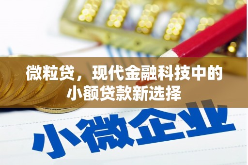 布拖微粒贷，现代金融科技中的小额贷款新选择