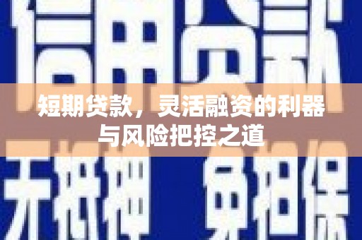布拖短期贷款，灵活融资的利器与风险把控之道