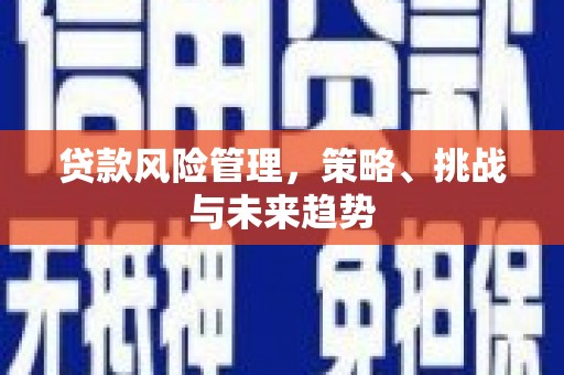 布拖贷款风险管理，策略、挑战与未来趋势