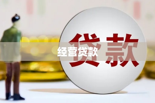 布拖经营贷款