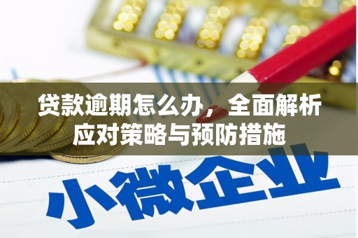 布拖贷款逾期怎么办，全面解析应对策略与预防措施