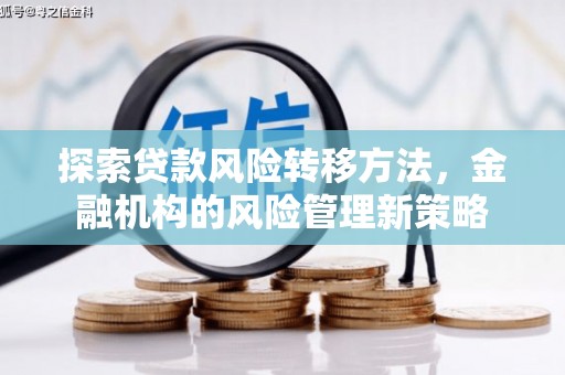 布拖探索贷款风险转移方法，金融机构的风险管理新策略