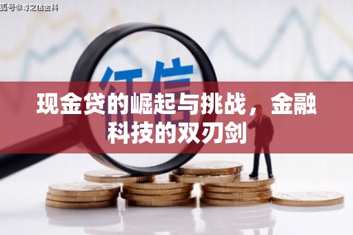 布拖现金贷的崛起与挑战，金融科技的双刃剑