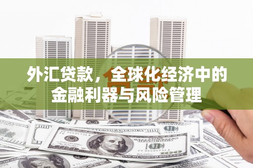 布拖外汇贷款，全球化经济中的金融利器与风险管理