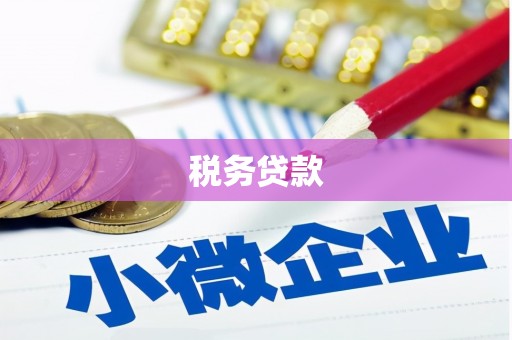 布拖税务贷款