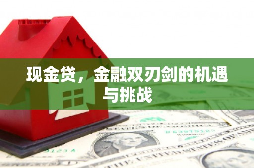 布拖现金贷，金融双刃剑的机遇与挑战
