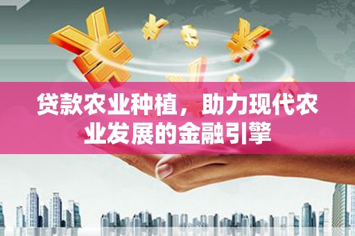布拖贷款农业种植，助力现代农业发展的金融引擎