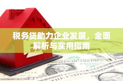 布拖税务贷助力企业发展，全面解析与实用指南