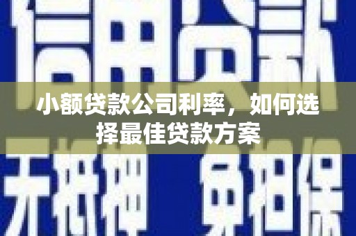 布拖小额贷款公司利率，如何选择最佳贷款方案