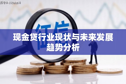 布拖现金贷行业现状与未来发展趋势分析