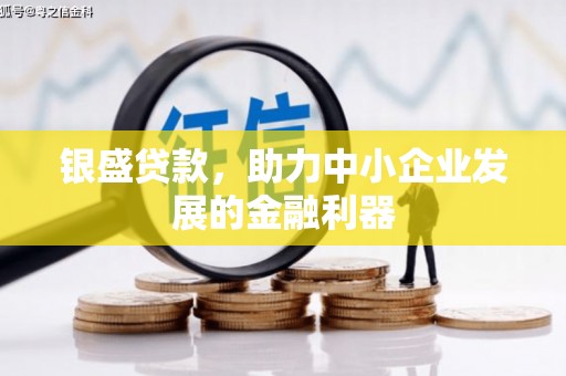 布拖银盛贷款，助力中小企业发展的金融利器