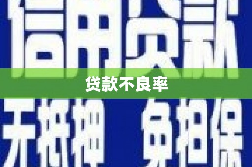 布拖贷款不良率