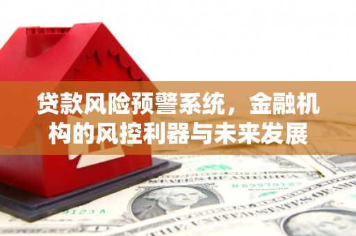 布拖贷款风险预警系统，金融机构的风控利器与未来发展