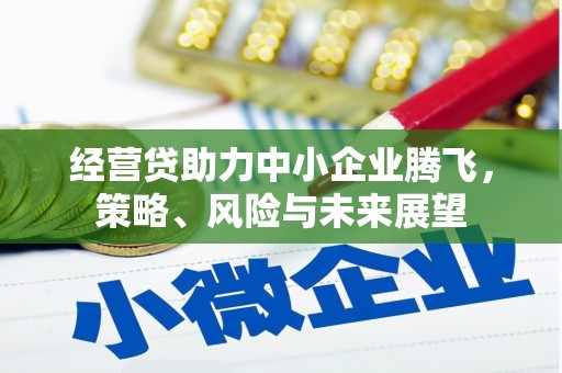 布拖经营贷助力中小企业腾飞，策略、风险与未来展望