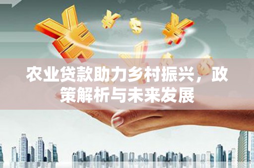 布拖农业贷款助力乡村振兴，政策解析与未来发展