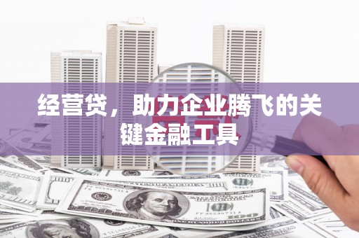布拖经营贷，助力企业腾飞的关键金融工具