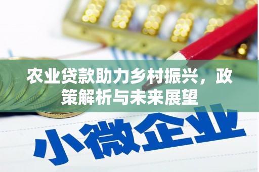 布拖农业贷款助力乡村振兴，政策解析与未来展望