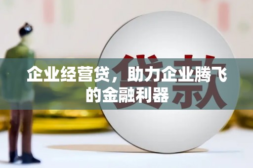 布拖企业经营贷，助力企业腾飞的金融利器