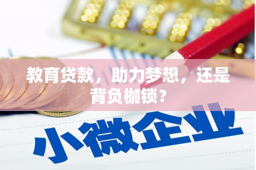 布拖教育贷款，助力梦想，还是背负枷锁？