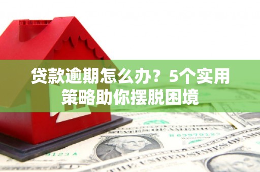 布拖贷款逾期怎么办？5个实用策略助你摆脱困境
