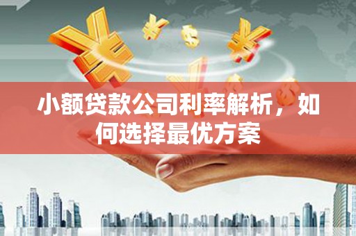 布拖小额贷款公司利率解析，如何选择最优方案