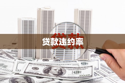 布拖贷款违约率