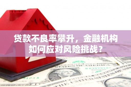 布拖贷款不良率攀升，金融机构如何应对风险挑战？