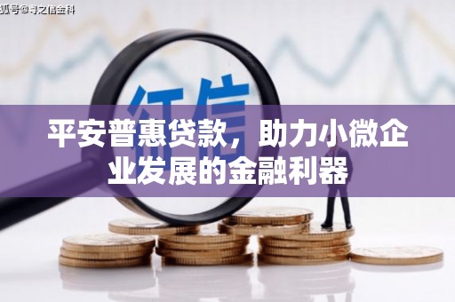 布拖平安普惠贷款，助力小微企业发展的金融利器