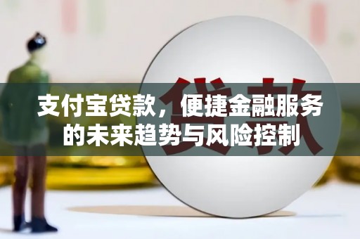 布拖支付宝贷款，便捷金融服务的未来趋势与风险控制