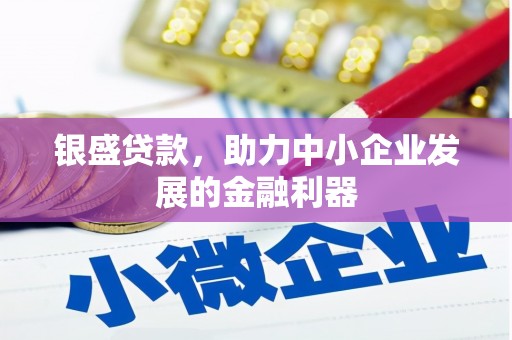 布拖银盛贷款，助力中小企业发展的金融利器
