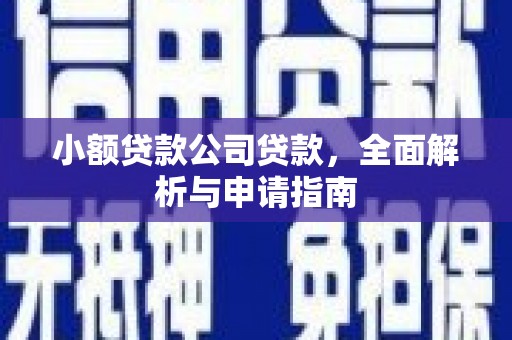 布拖小额贷款公司贷款，全面解析与申请指南