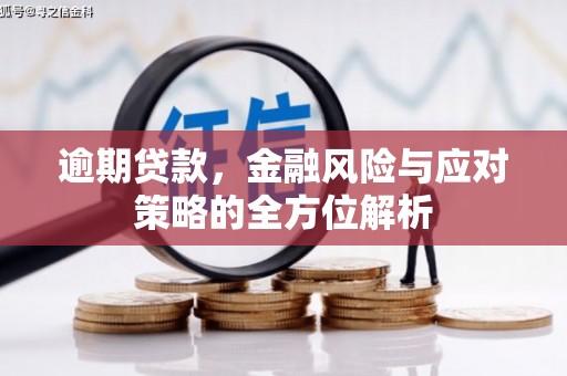 布拖逾期贷款，金融风险与应对策略的全方位解析