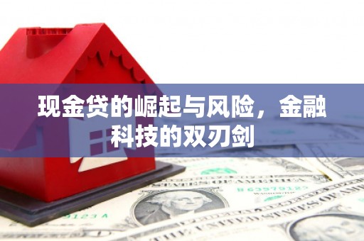 布拖现金贷的崛起与风险，金融科技的双刃剑
