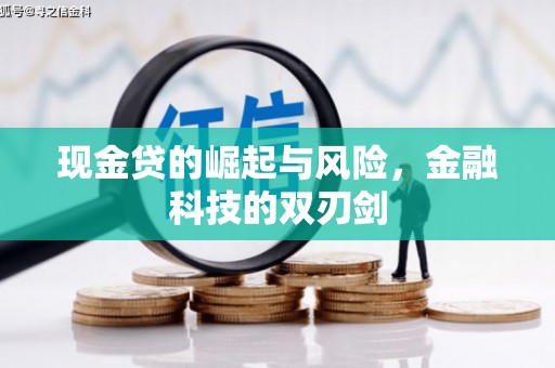 布拖现金贷的崛起与风险，金融科技的双刃剑