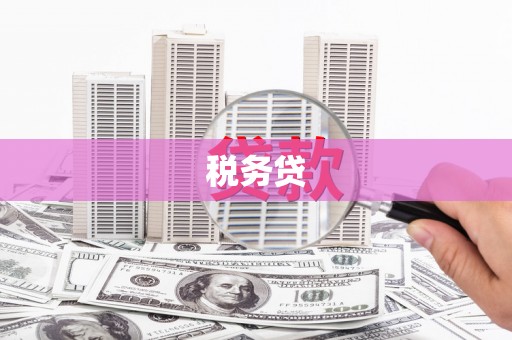 布拖税务贷