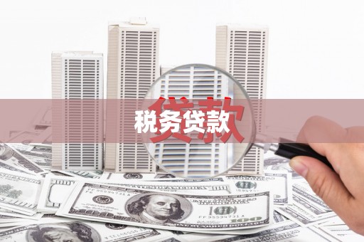 布拖税务贷款