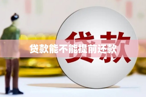 布拖贷款能不能提前还款