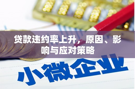 布拖贷款违约率上升，原因、影响与应对策略