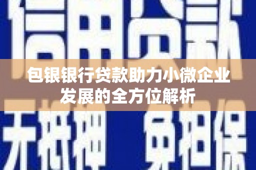 布拖包银银行贷款助力小微企业发展的全方位解析