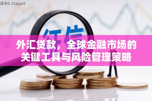 布拖外汇贷款，全球金融市场的关键工具与风险管理策略