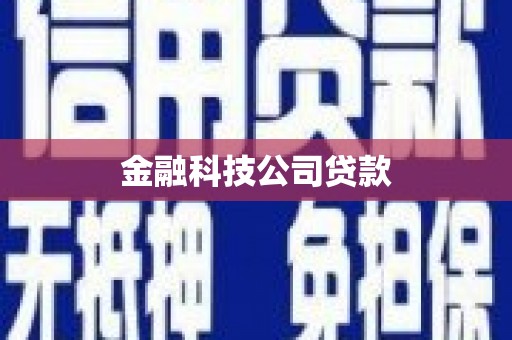 布拖金融科技公司贷款