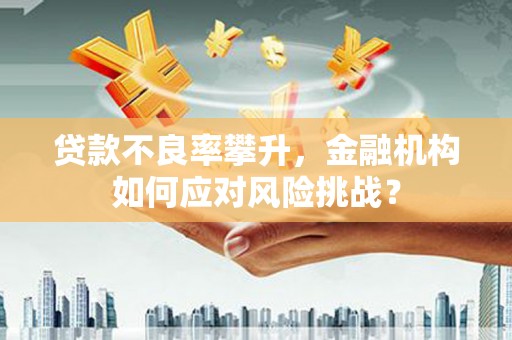 布拖贷款不良率攀升，金融机构如何应对风险挑战？