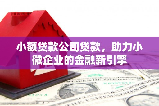 布拖小额贷款公司贷款，助力小微企业的金融新引擎